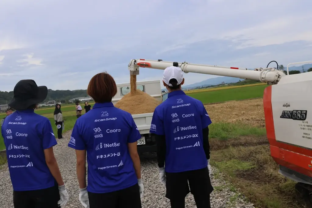 【PFUブルーキャッツ石川かほく】石川県内灘町宮坂地区にて2年目の復興稲刈りを実施 画像 4