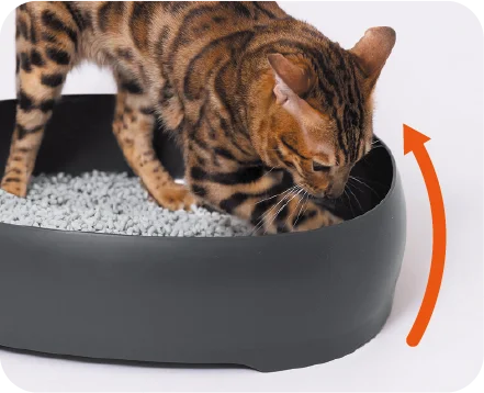 凹凸ゼロで、つるんと洗える︕お⼿⼊れしやすい猫⽤トイレ。 画像 2