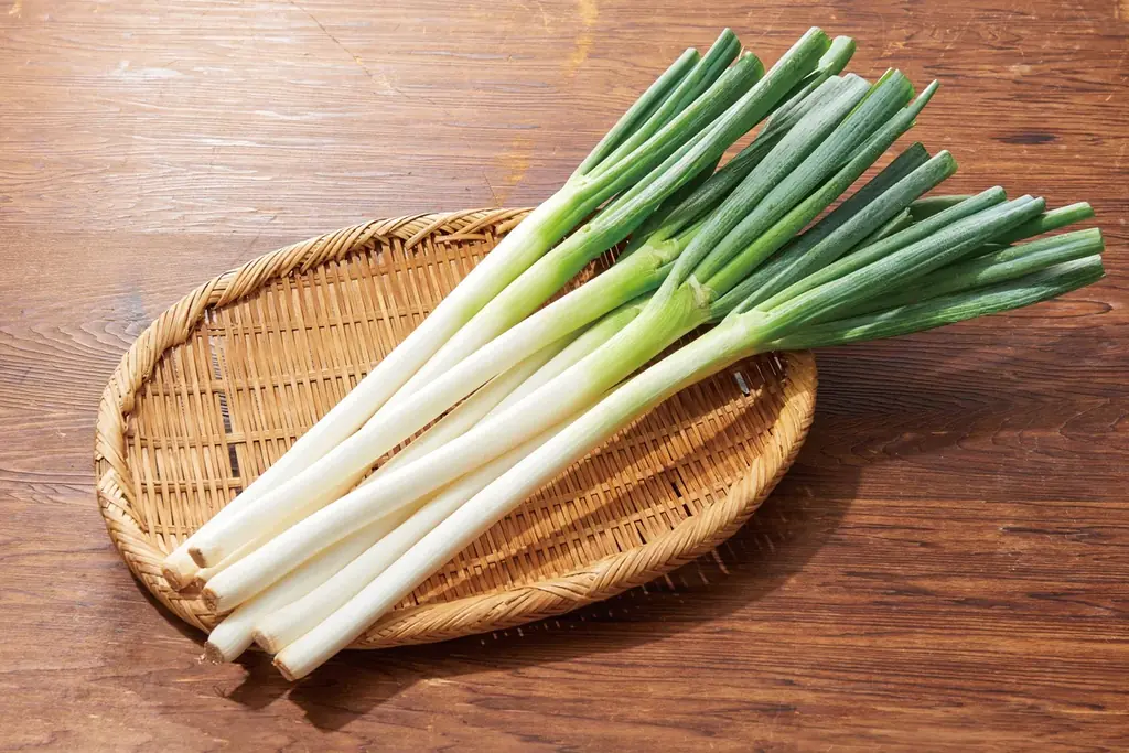 敬老の日は「しゃぶしゃぶ温野菜」がお得！食べ放題「平日20%OFF/休日10%OFF」小学生半額・小学生未満無料でお子様連れも嬉しい！国産野菜や逸品料理でお腹も心も満たす、大切な人とのしゃぶしゃぶ時間 画像 11