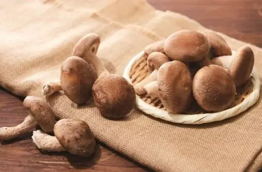 敬老の日は「しゃぶしゃぶ温野菜」がお得！食べ放題「平日20%OFF/休日10%OFF」小学生半額・小学生未満無料でお子様連れも嬉しい！国産野菜や逸品料理でお腹も心も満たす、大切な人とのしゃぶしゃぶ時間 画像 14