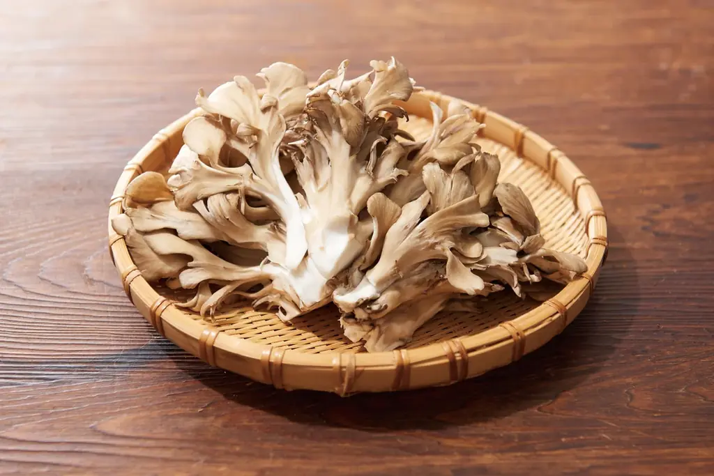 敬老の日は「しゃぶしゃぶ温野菜」がお得！食べ放題「平日20%OFF/休日10%OFF」小学生半額・小学生未満無料でお子様連れも嬉しい！国産野菜や逸品料理でお腹も心も満たす、大切な人とのしゃぶしゃぶ時間 画像 16
