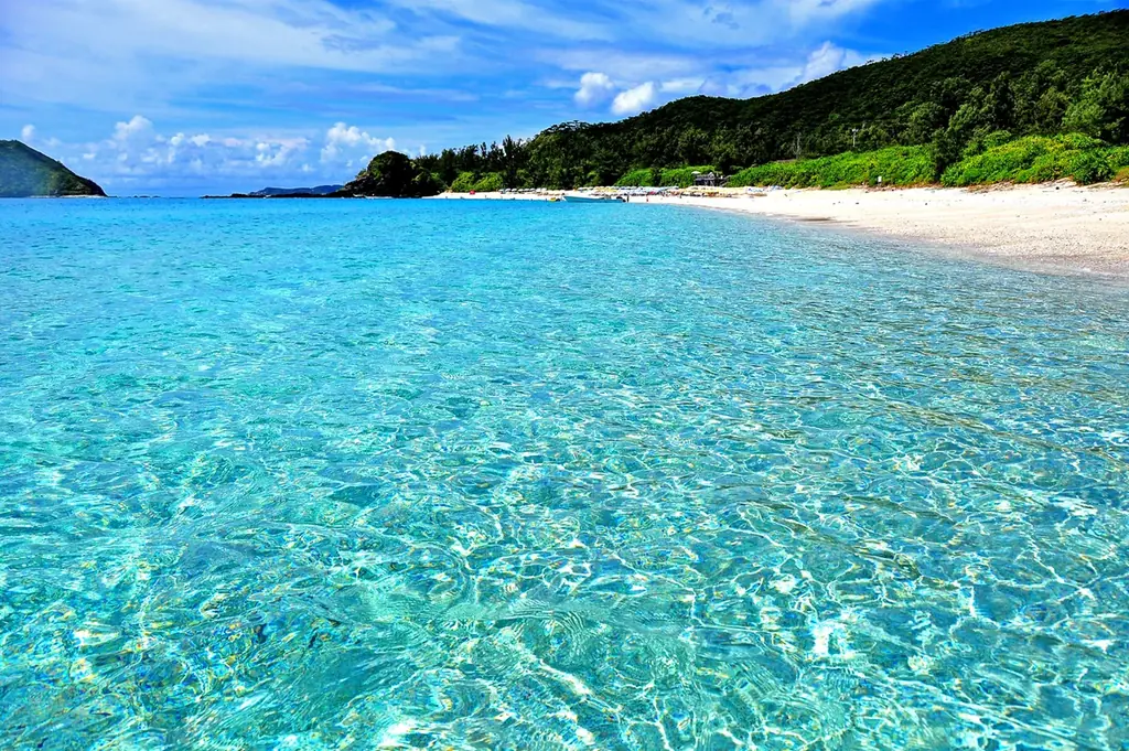 座間味村の海を再現!!～期間限定の水槽展示～【広島もとまち水族館】 画像 4