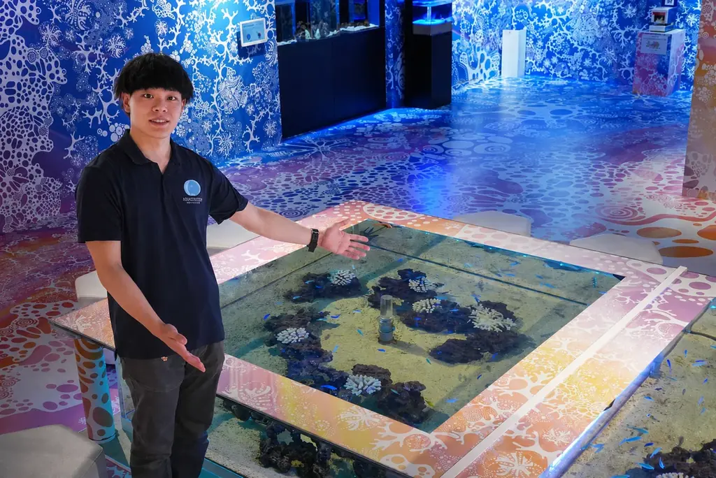 座間味村の海を再現!!～期間限定の水槽展示～【広島もとまち水族館】 画像 5