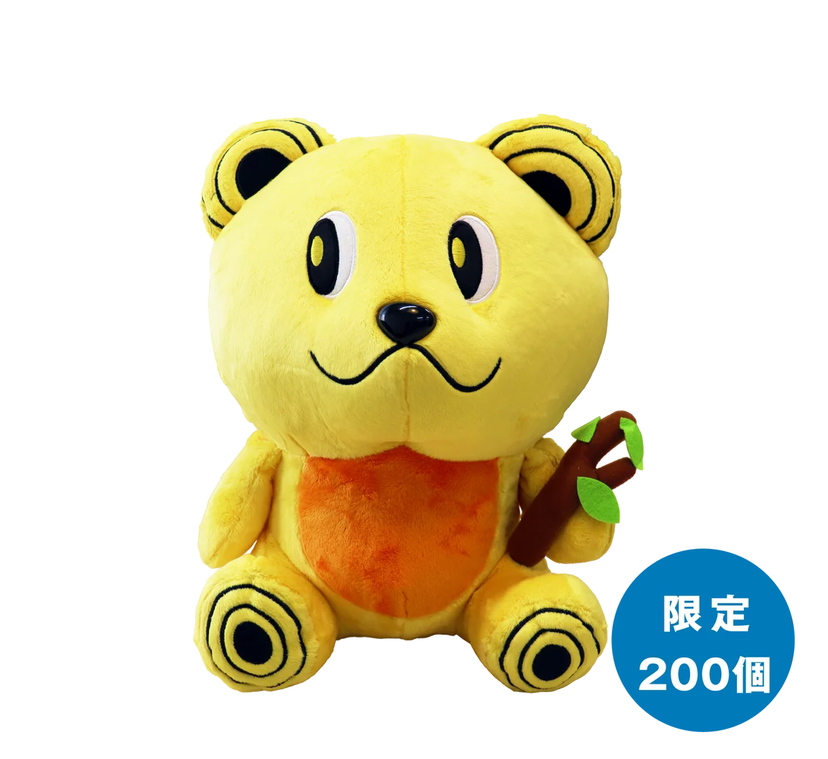 綿半の株主優待品がパワーアップ！ 画像 17