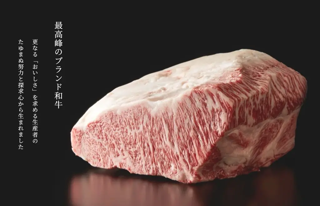 株式会社新朝プレス、常陸牛の最高峰「煌（きらめき）」100%のハンバーグを開発・販売開始 画像 2