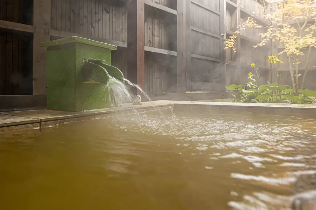 【京都・天橋立】水風呂に張るのは温泉「銀温泉」― 一棟貸切ヴィラ「マリントピア・ザ・スイート」に、1日4枠の貸切サウナ「-SAUNA RUHE-」と1棟だけの薪サウナが誕生 画像 13
