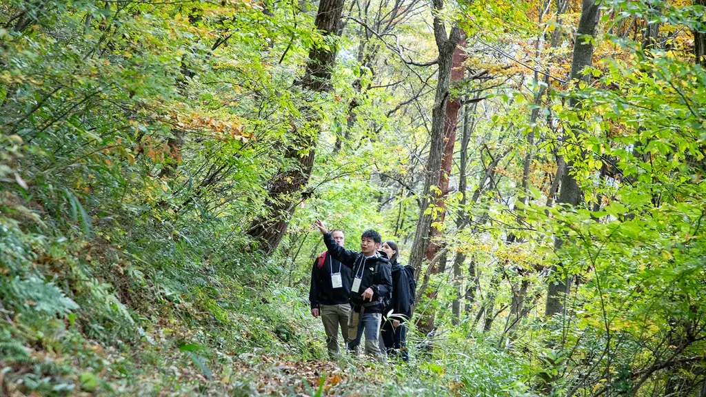 10月11日開催　神鍋山で朝食ハイキング体験