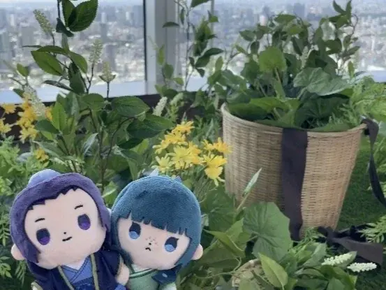 TVアニメ『薬屋のひとりごと』 × 東京シティビュー舞が織りなす幻想の世界 ―天空に響く、舞のしらべ― リピート来場者続出!! 開催1か月の反響レポート 画像 4