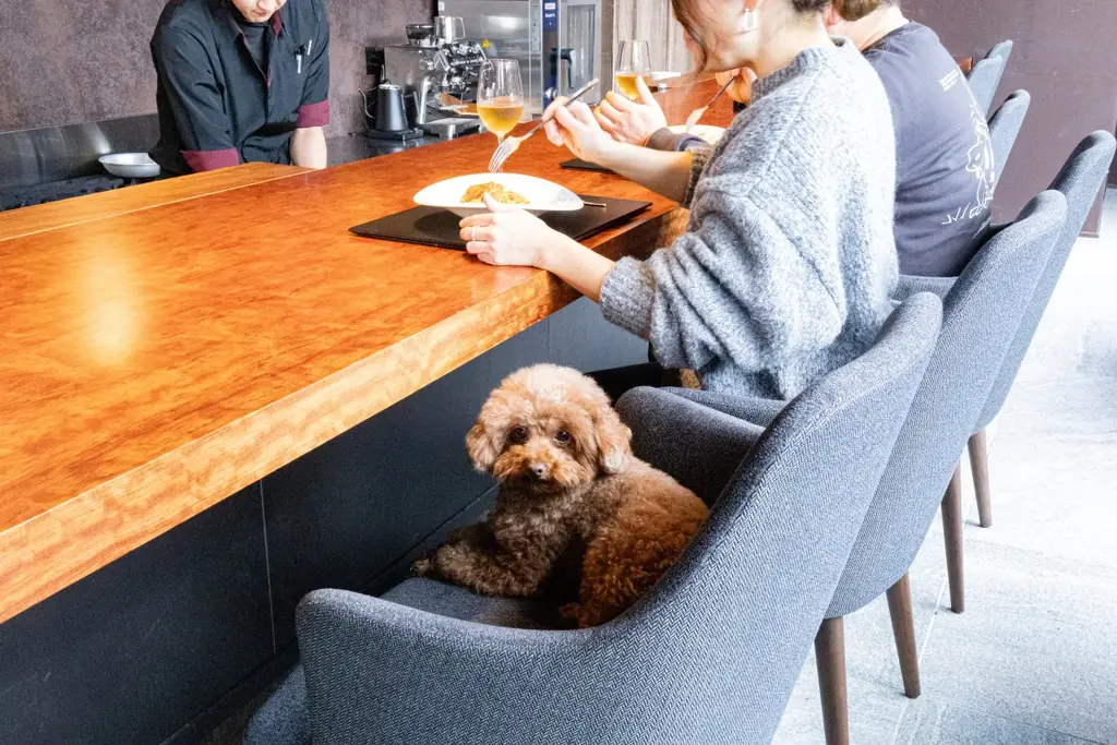 「愛犬中心の旅」に、飼い主の至福の休息を。愛犬を見守りながら整う、専用サウナ付き  ヴィラが京都・天橋立に誕生 画像 16