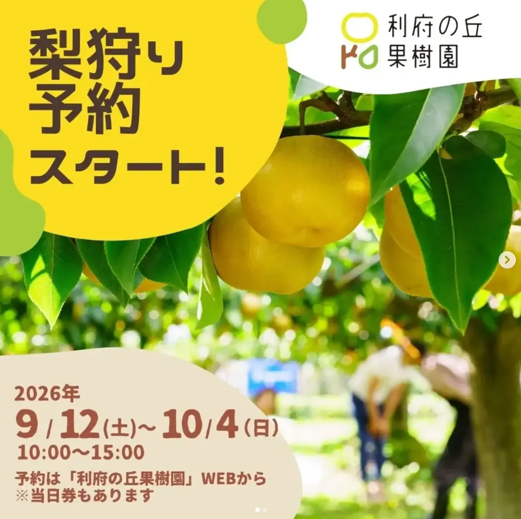 利府梨を「採る・食べる・飲む」2日間。 利府の丘果樹園×Sunny Apricot、 9月19日・20日に初のコラボイベント開催 画像 2