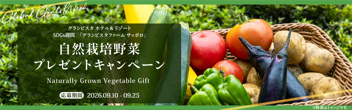 自然栽培野菜プレゼント