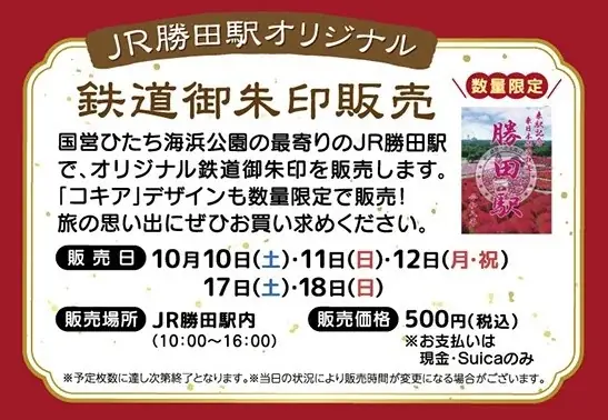 【2026年秋】特急「絶景赤コキア号」で国営ひたち海浜公園へ！コキアやコスモス、那珂湊グルメも満喫 画像 16