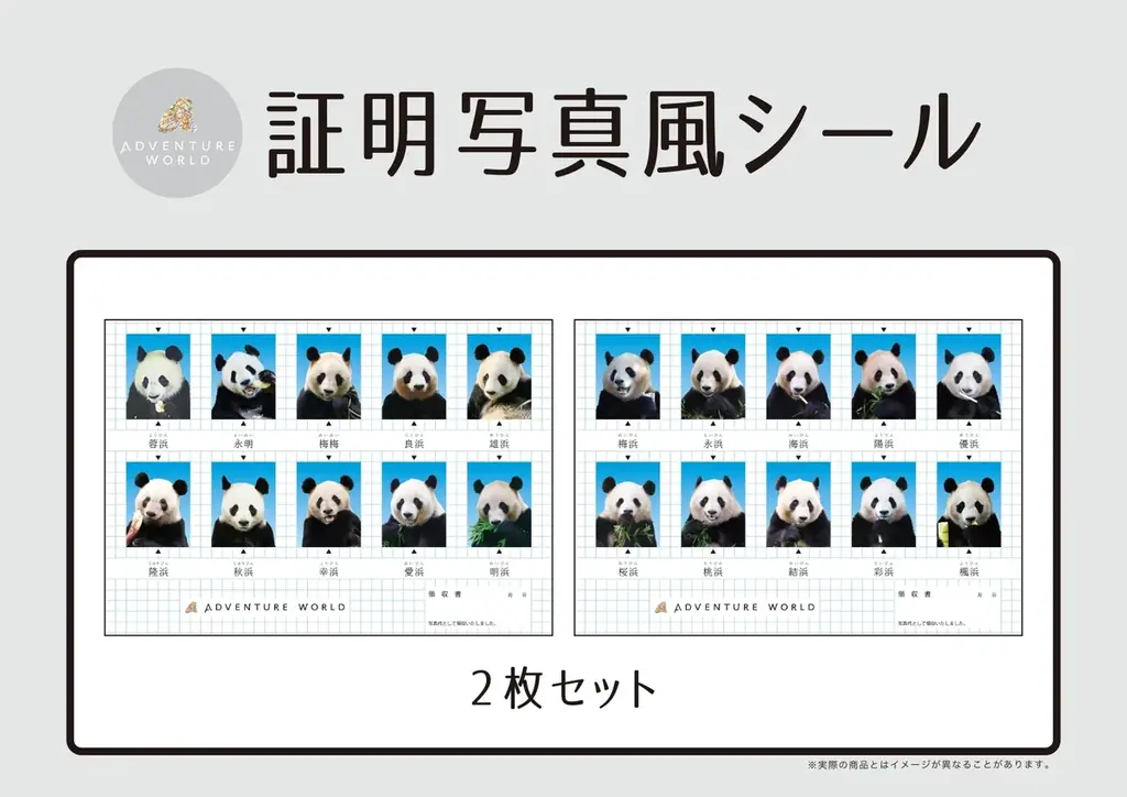 パンダ＆ペンギンの「推し活」を楽しむPOP-UP STOREイベント「パンダ＆ペンギンファンフェスタ！in マルイファミリー溝口 with アドベンチャーワールド推し活POP-UP STORE」開催！ 画像 3