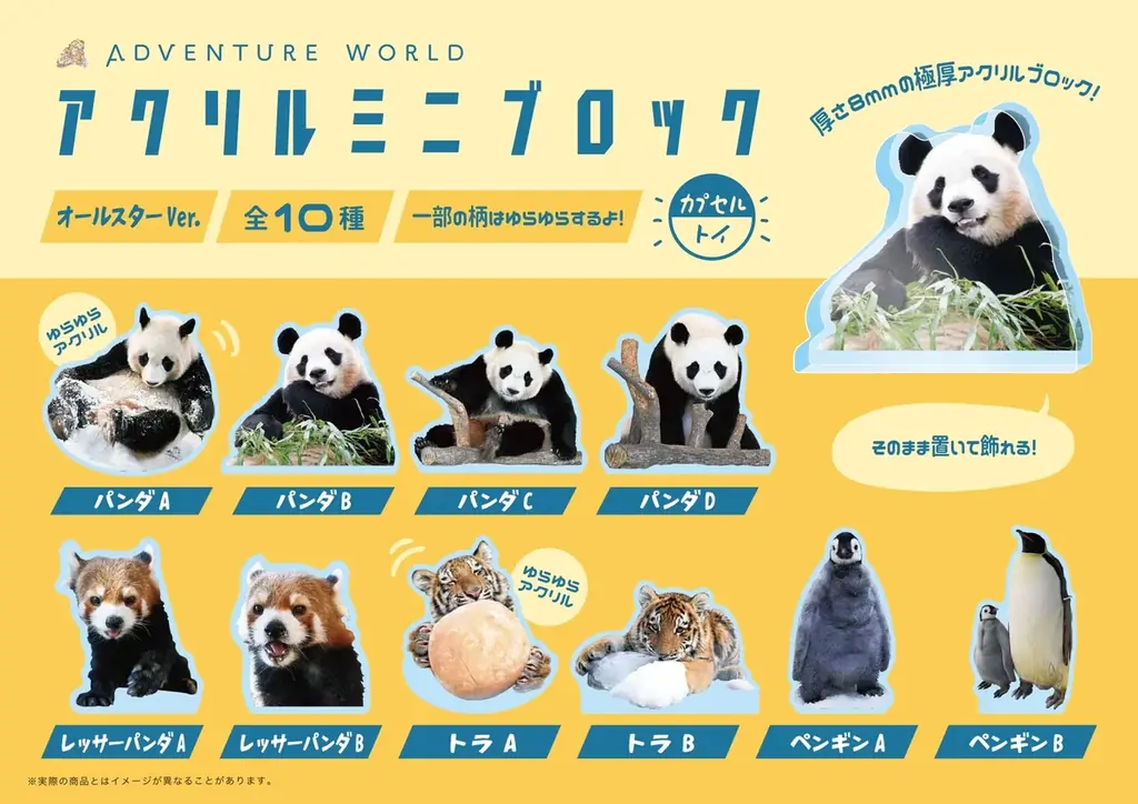 パンダ＆ペンギンの「推し活」を楽しむPOP-UP STOREイベント「パンダ＆ペンギンファンフェスタ！in マルイファミリー溝口 with アドベンチャーワールド推し活POP-UP STORE」開催！ 画像 8