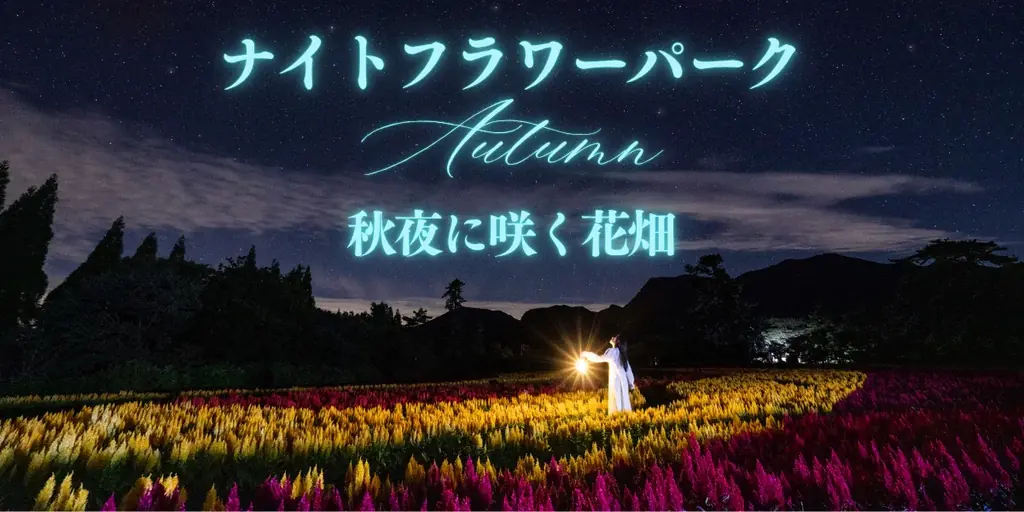 ナイトフラワーパーク秋夜