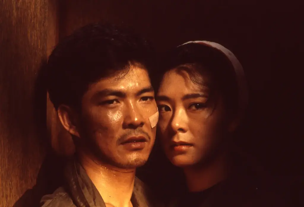 DVD未発売・廃盤の超激レア作が一挙集結！【５日間連続！激レア香港映  画大放出!!】9月21日（月・祝）より、ザ・シネマにて放送 画像 3