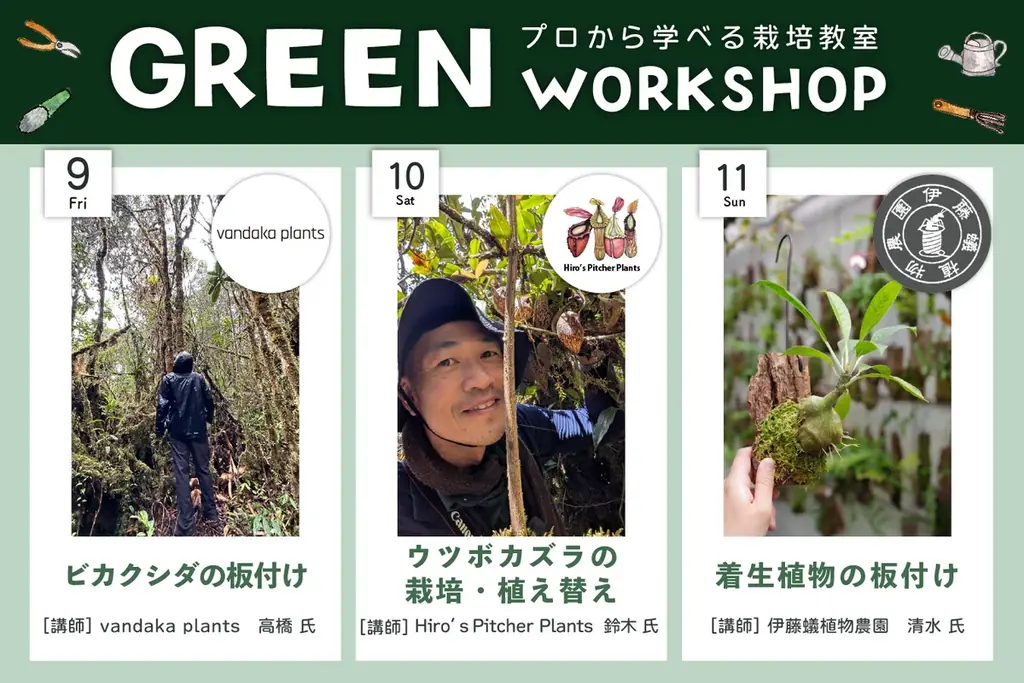 【海洋博公園】～県内外の植物専門店が沖縄に集結～GREEN CHAMPUROO -Vol.2-開催決定！ 画像 4