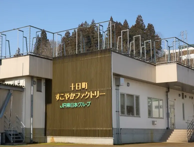 新潟・十日町産魚沼コシヒカリの米粉100%と豆乳使用「TOIRO®」が贈る  、グルテンフリーのやさしいクリスマスケーキ　十日町の雪景色をうつした「スノーホワイトケーキ」が新登場！ 画像 18