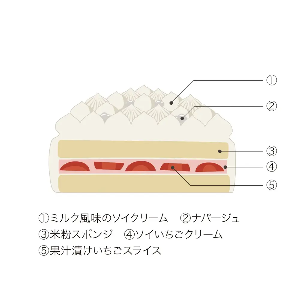 新潟・十日町産魚沼コシヒカリの米粉100%と豆乳使用「TOIRO®」が贈る  、グルテンフリーのやさしいクリスマスケーキ　十日町の雪景色をうつした「スノーホワイトケーキ」が新登場！ 画像 4