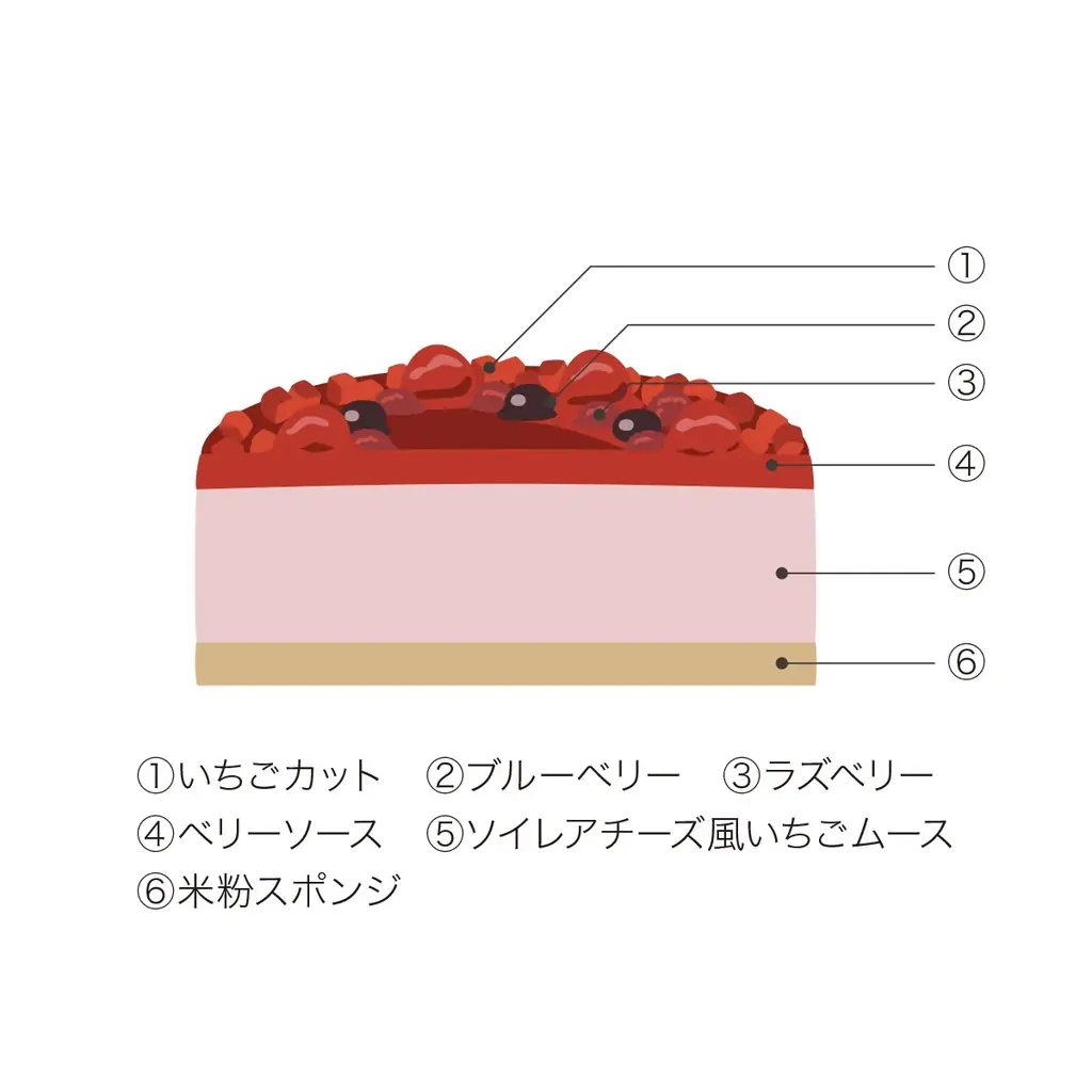 新潟・十日町産魚沼コシヒカリの米粉100%と豆乳使用「TOIRO®」が贈る  、グルテンフリーのやさしいクリスマスケーキ　十日町の雪景色をうつした「スノーホワイトケーキ」が新登場！ 画像 8