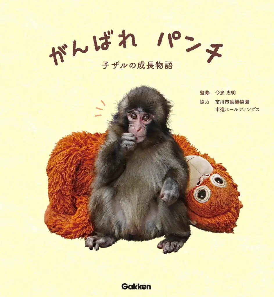 【初書籍化】ぬいぐるみが母親代わりの子ザル・パンチくんの書籍『がん ばれ パンチ　子ザルの成長物語』発売決定・予約開始 画像 1