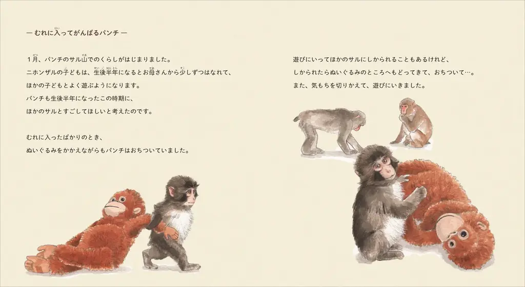 【初書籍化】ぬいぐるみが母親代わりの子ザル・パンチくんの書籍『がん ばれ パンチ　子ザルの成長物語』発売決定・予約開始 画像 3
