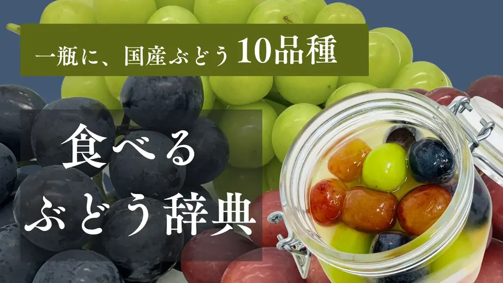 10品種詰め合わせ『食べるぶどう辞典』Makuake先行
