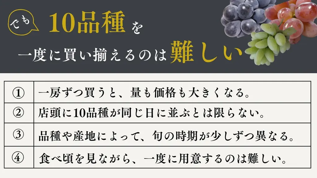 旬のぶどう10品種を一瓶に。味・香り・食感の違いを楽しむ『食べるぶどう辞典』2026年9月18日Makuake限定発売 画像 4