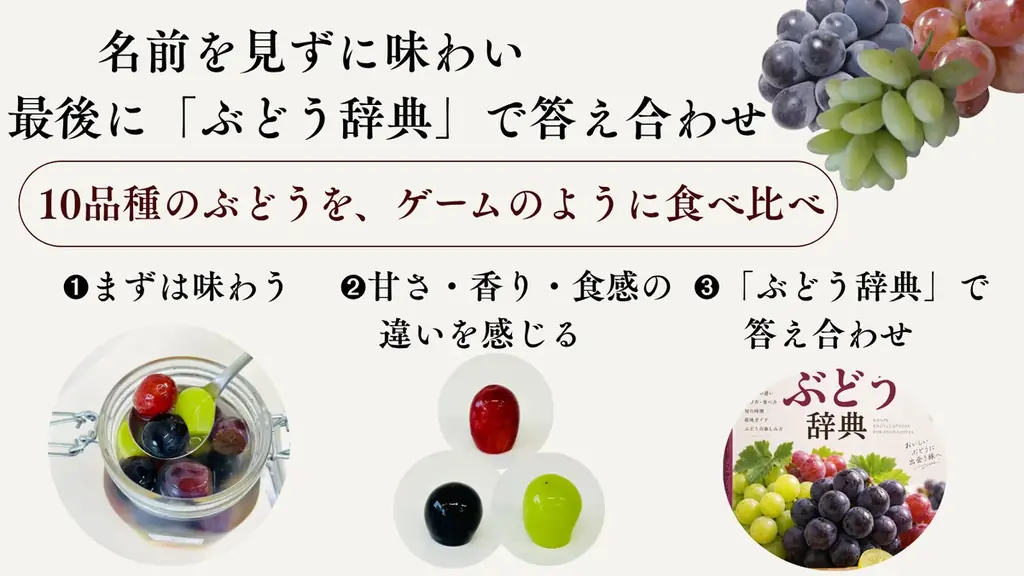 旬のぶどう10品種を一瓶に。味・香り・食感の違いを楽しむ『食べるぶどう辞典』2026年9月18日Makuake限定発売 画像 6