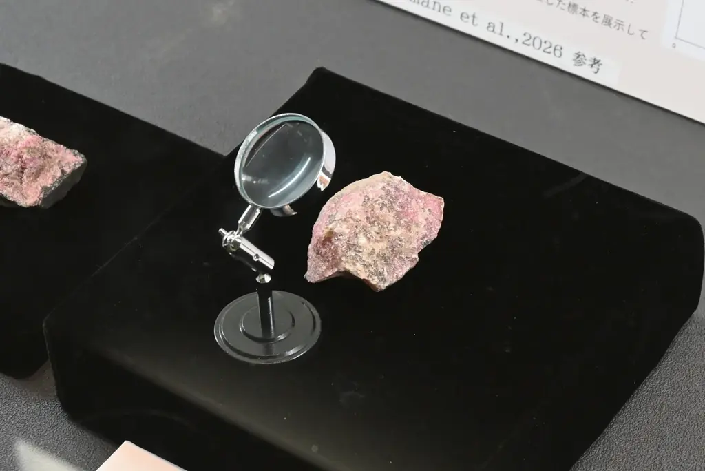 新鉱物「堀石」実物初公開　豊橋市自然史博物館で展示