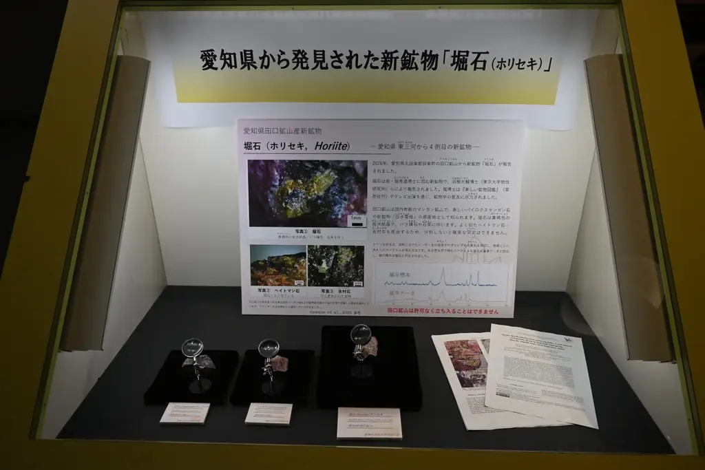 新たな愛知県産新鉱物「堀石（ほりせき）」豊橋市自然史博物館で実物初公開！ 画像 2