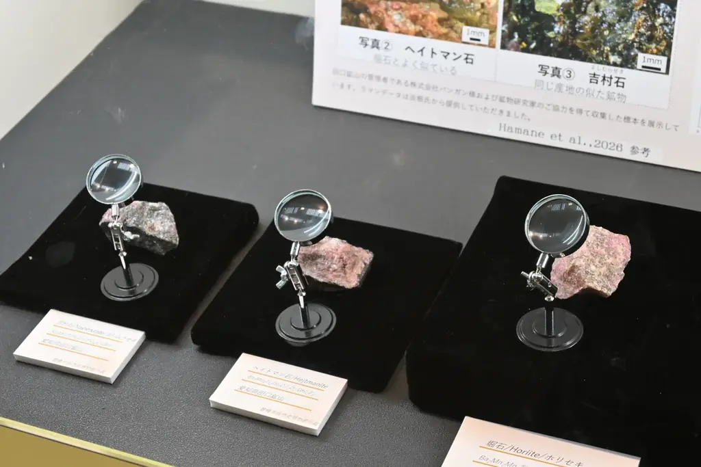 新たな愛知県産新鉱物「堀石（ほりせき）」豊橋市自然史博物館で実物初公開！ 画像 3