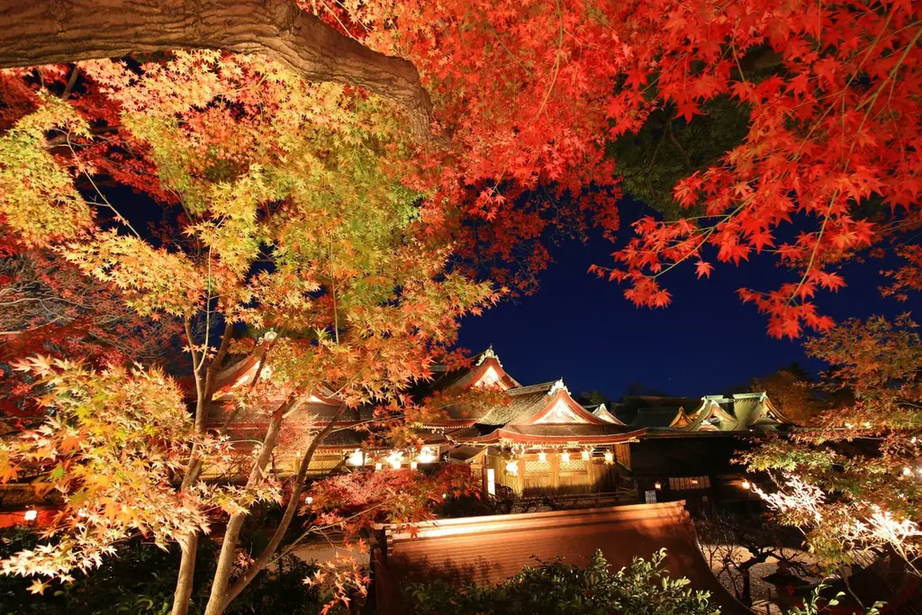 12月5日開催｜北野天満宮 夜の特別参拝（会員限定）