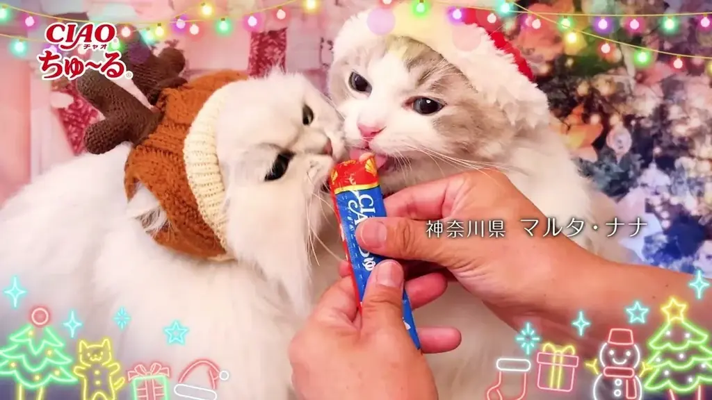 いなばペットフード　クリスマスTVCM出演のわんちゃん、猫ちゃん動画を大募集 画像 2
