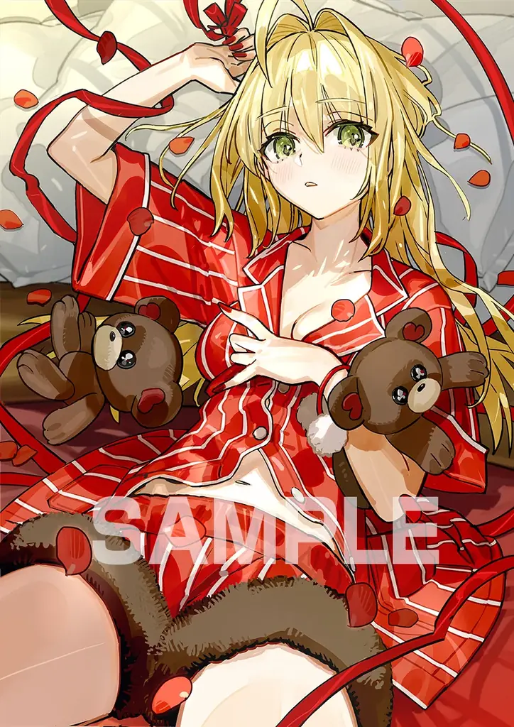 2027年1月28日発売『Fate/EXTRA Record』アニメイト特典詳報