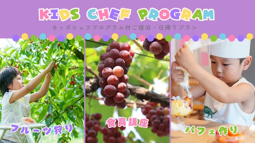 キッズシェフ（ぶどう）