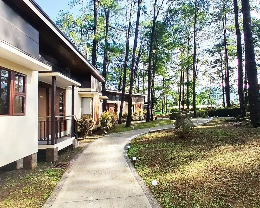 【ネイティブキャンプ留学】語学学校「A&J Eco Campus」冬季限定プロモーションを実施 画像 4