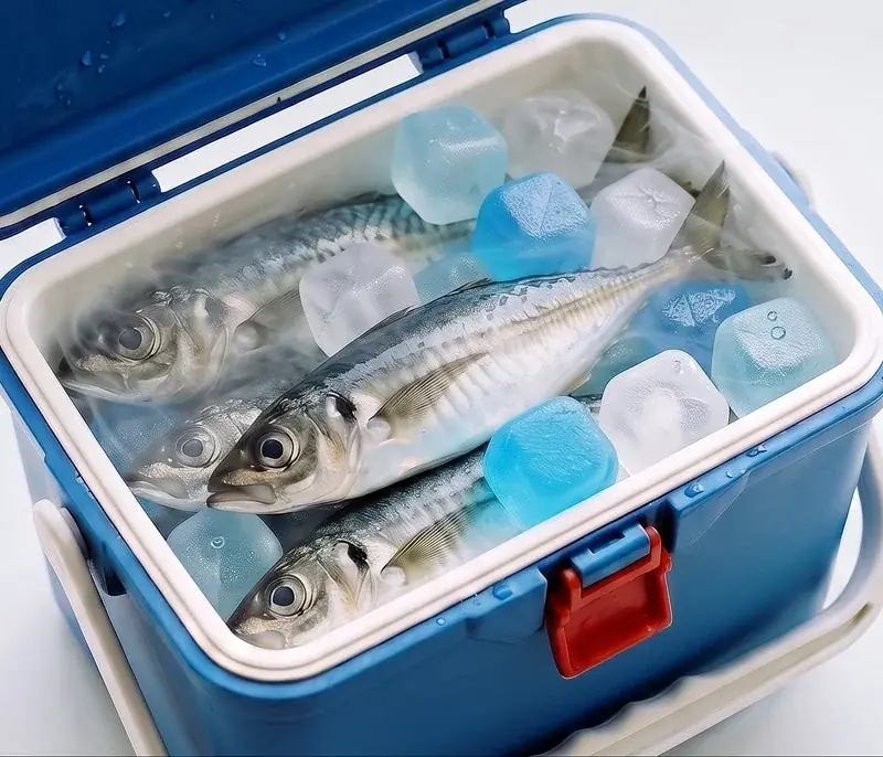クーラーボックス 開けたら、また水浸しだった。「氷だから仕方ない」と何年も諦めてきた人へ。釣りにもキャンプにも使える”溶けない 氷” DRESSのブロック型 保冷剤 の話 画像 6