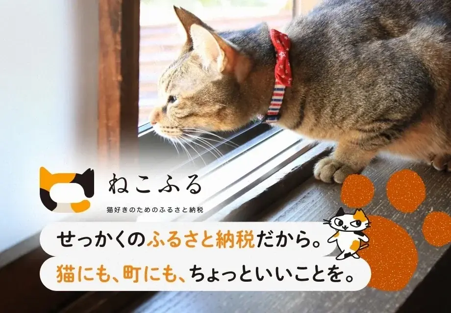 猫好きのためのふるさと納税「ねこふる」に館山市の返礼品が登場！ 画像 2