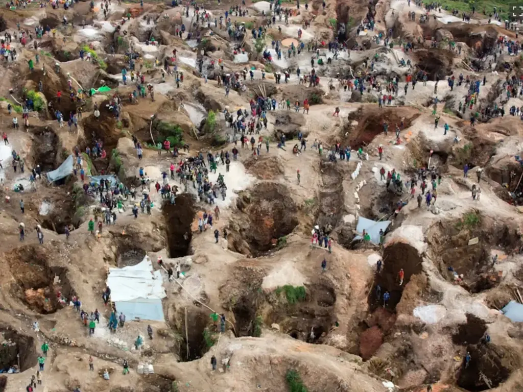 【9/24は世界ゴリラの日】私たちのスマホが、ゴリラの数を減らしている？  ――紛争と鉱物採掘に揺れるコンゴの森 画像 3