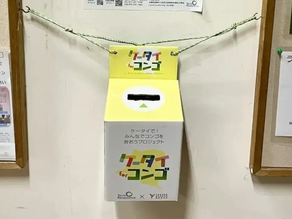 【9/24は世界ゴリラの日】私たちのスマホが、ゴリラの数を減らしている？  ――紛争と鉱物採掘に揺れるコンゴの森 画像 5