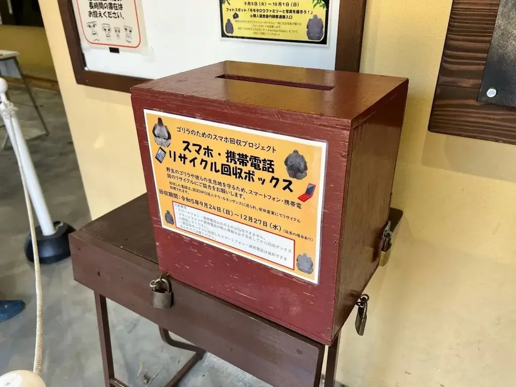 【9/24は世界ゴリラの日】私たちのスマホが、ゴリラの数を減らしている？  ――紛争と鉱物採掘に揺れるコンゴの森 画像 7
