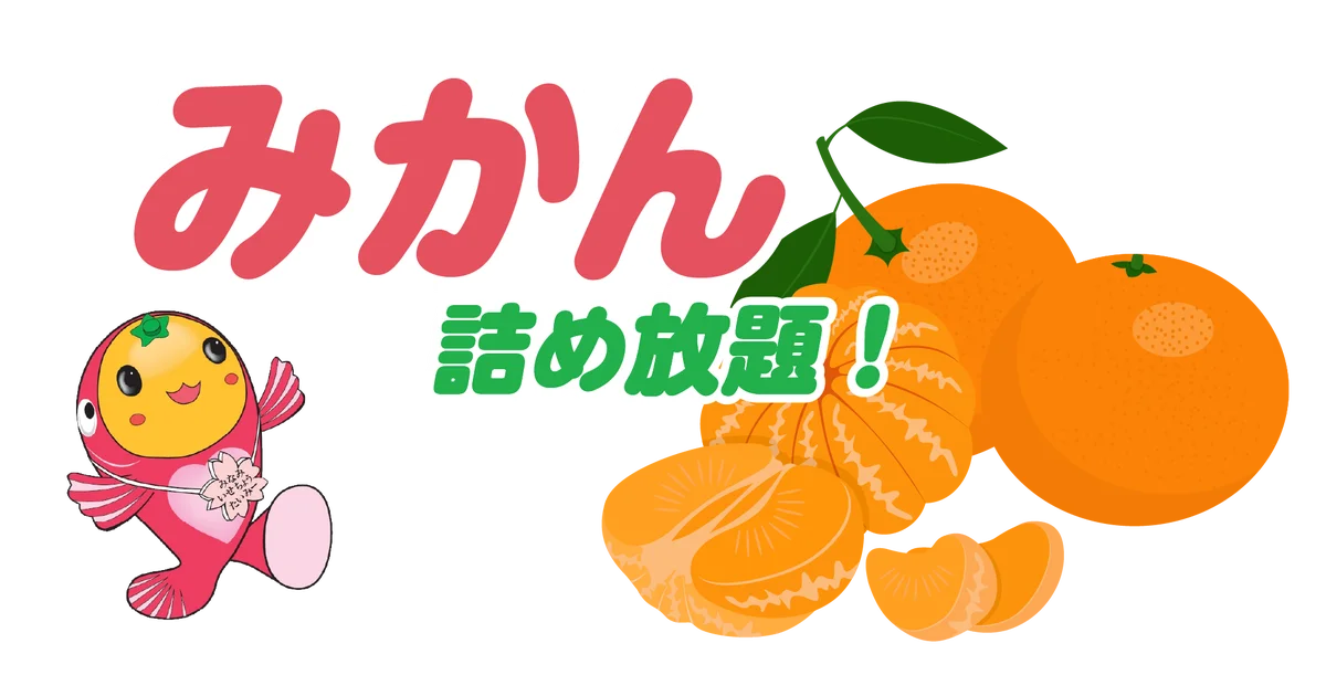 「南伊勢町釣りイベント たいみーの五目釣り！」を2026年10月17日（土）に開催 画像 6