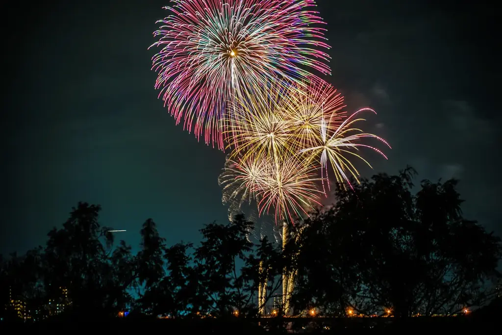 ダブル花火が多摩川の秋空を彩る！ホームメイトが『第48回世田谷区たまがわ花火大会』に協賛決定！ 画像 2