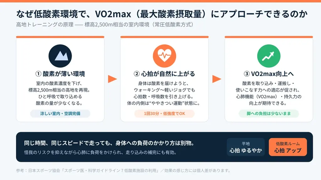 【HYROX（ハイロックス）ジム向けフランチャイズ】低酸素トレーニングで大会後の”離脱”を”通う理由”に。日本初の低酸素ジム「ハイアルチ」がFC説明会を9/29・10/2にオンライン開催 画像 6