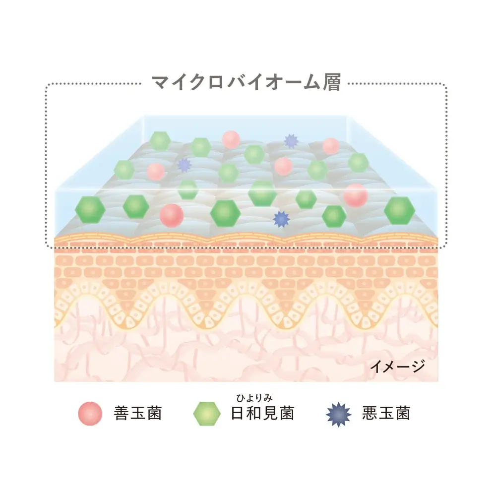 【CPコスメティクス】素肌でいるよりも、肌にいい。至高のクッションファンデーションを2026年11月9日に発売 画像 2