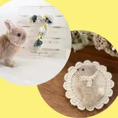 【阪神梅田本店】うさぎ好きのための、うさぎ好きによる”うさぎウィーク”がスタート！ 画像 2