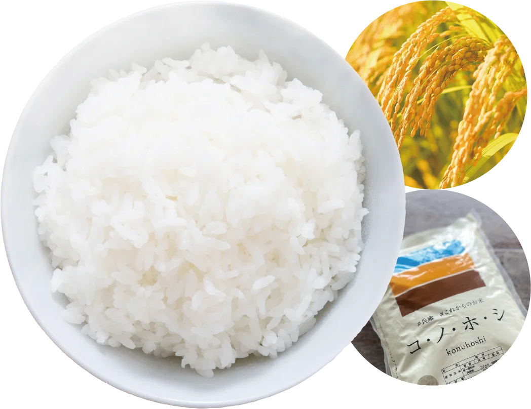 兵庫の新しいお米「コ・ノ・ホ・シ」の新米おむすびを芝生の上で味わう「新米おむすびピクニック」開催 画像 4
