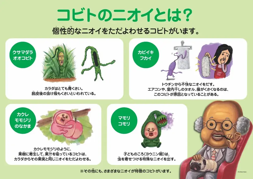 「こびとづかん」のグッズがせいぞろい！『こびとづかんミニマルシェ by VILLAGE VANGUARD』が2026年9月より開催決定！ 画像 3