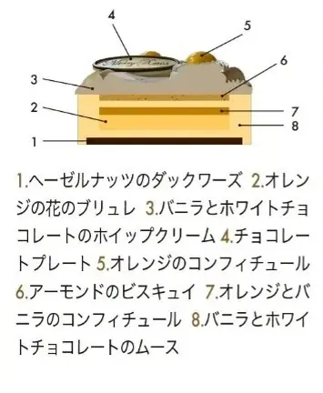 【伊勢丹新宿店】人気の“小さめサイズ”も充実！「Aurore」をテーマに、個性豊かなクリスマスケーキが集結。選ぶ楽しさが広がるクリスマス 画像 5